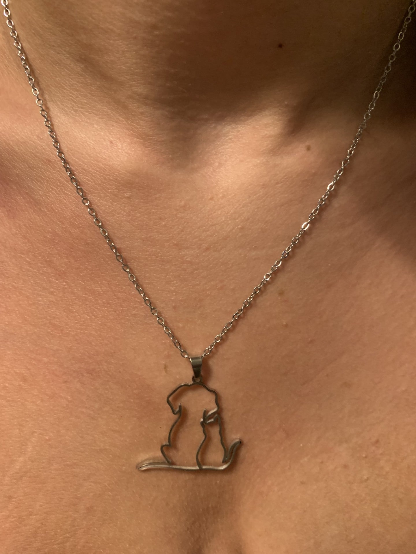 Collier amour de chien & chat – Souvenir Infini (acier inoxydable plaqué or blanc)
