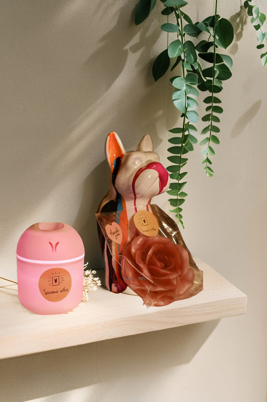 Diffuseur Humidificateur d'huiles essentielles (huiles essentielles comprises 10 ml)